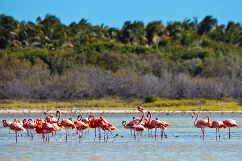 Lake Oviedo in Jaragua National Park, Dominican Republic