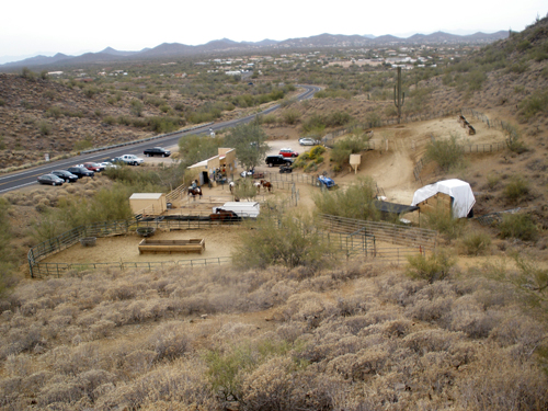 Horseback Riding in Cave Creek - Photo #60