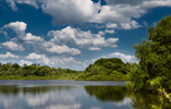 Gainesville, Alachua County, North Central Florida