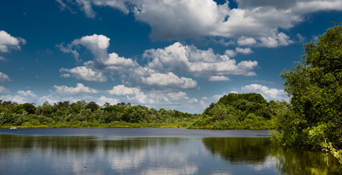 Lake Alice, University of Florida at Gainesville