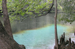 High Springs, Alachua County, North Central Florida