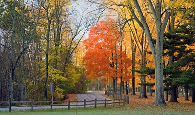 Wisconsin Fall Foliage on a Winding Road